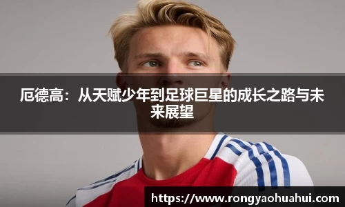 DG视讯