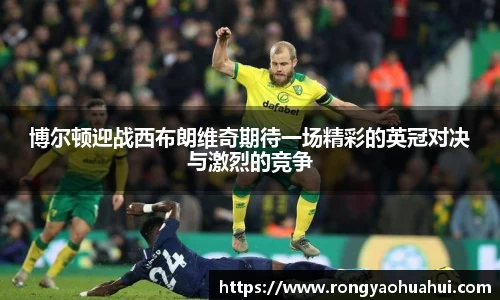 DG视讯