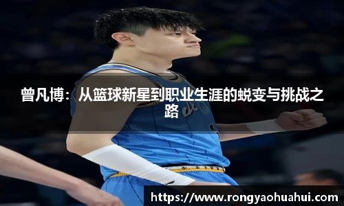 DG视讯官网