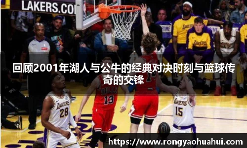 DG视讯