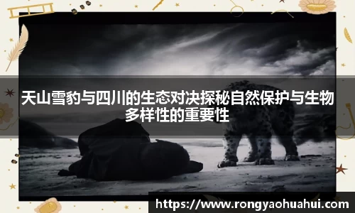 DG视讯官网