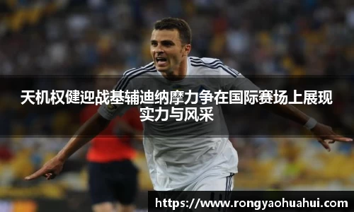 DG视讯
