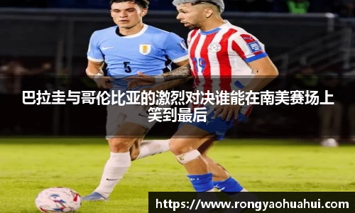 DG视讯